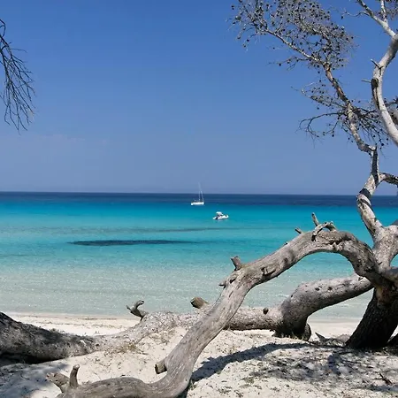 Vista Mare Favone Villa Conca